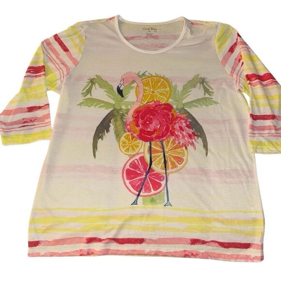 Coral Bay Multicolor Striped Tropical Flamingo Print 3/4 Sleeve Tee Ladies XL - Picture 1 of 9